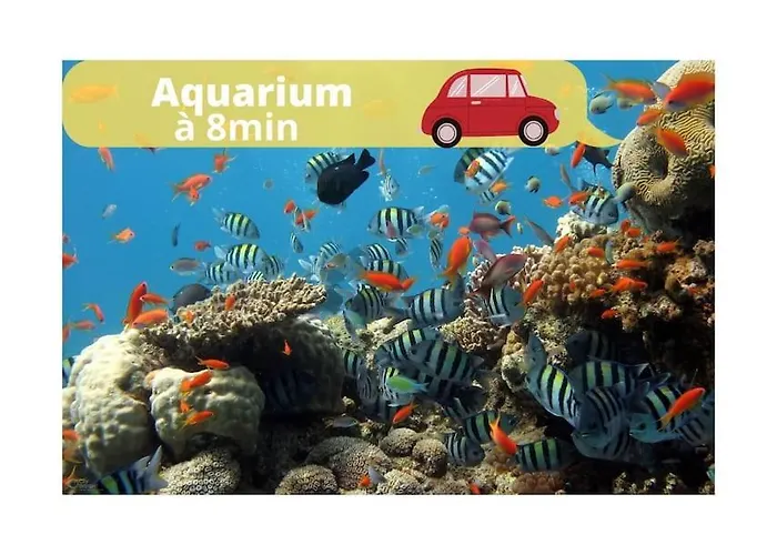 L'iris 8 Min De La Gare Terrasse Netflix * Нанси